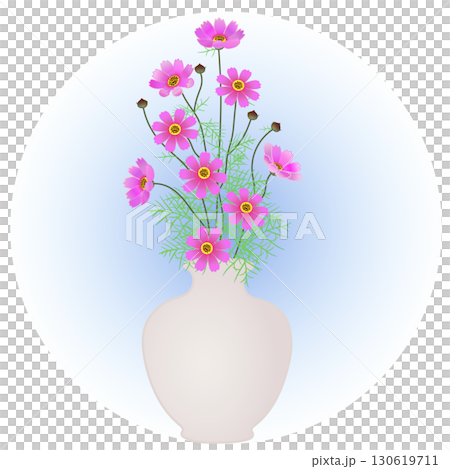 花瓶に活けられたコスモスのイラスト 花瓶に活けられたコスモスのイラスト 130619711
