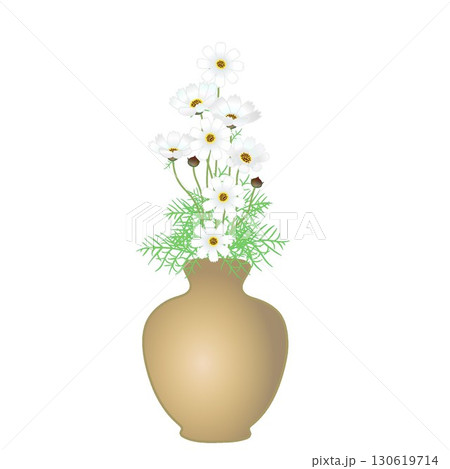 花瓶に活けられたコスモスのイラスト 花瓶に活けられたコスモスのイラスト 130619714