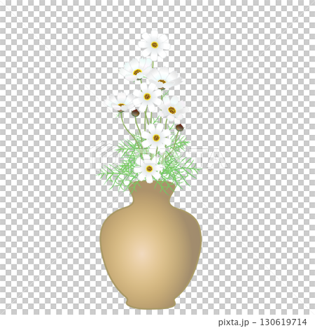 花瓶に活けられたコスモスのイラスト 花瓶に活けられたコスモスのイラスト 130619714