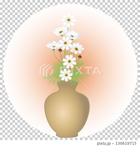 Illustration of cosmos in a vase Illustration of cosmos in a vase 130619715