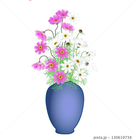花瓶に活けられたコスモスのイラスト 花瓶に活けられたコスモスのイラスト 130619738