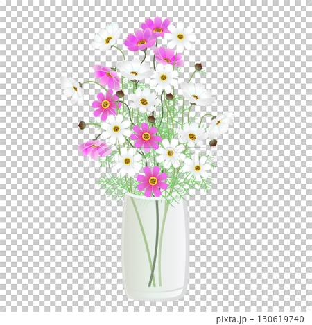 Illustration of cosmos in a vase 130619740
