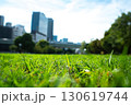 芝生と高層ビル 130619744