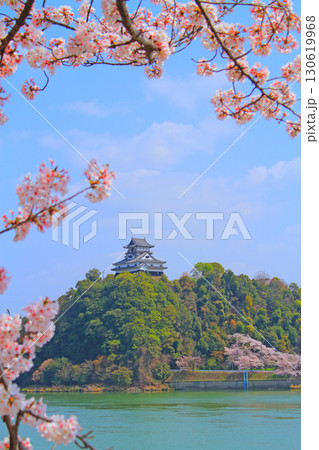 春の愛知県犬山市、犬山城と桜の風景 130619968
