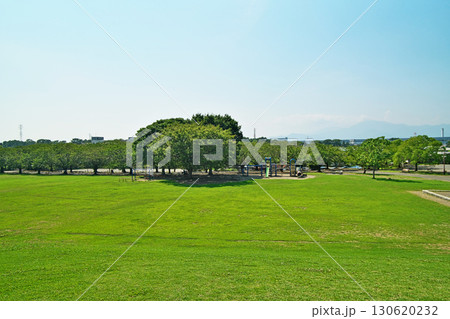 さむかわ中央公園 芝広場(夏、八月) さむかわ中央公園 芝広場(夏、八月) 130620232