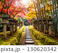 竹林の中を進む石畳と竹灯籠、日本庭園の紅葉風景 130620342