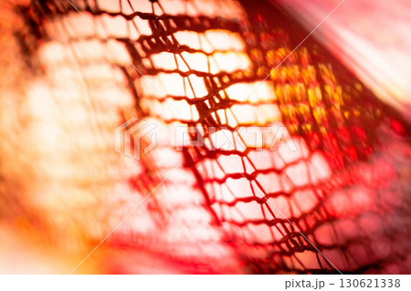 レース・ハロウィン 背景素材 130621338