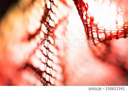 レース・ハロウィン 背景素材 130621341