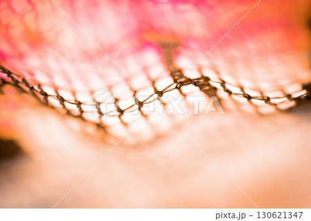 レース・ハロウィン 背景素材 130621347