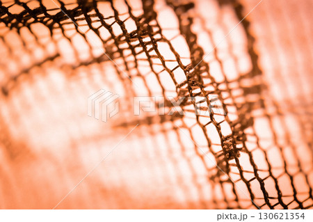 レース・ハロウィン 背景素材 130621354