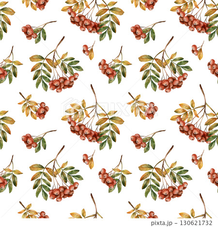 Rowan branch with ripe red berries and leaves. Autumn floral seamless pattern on white background. Watercolor hand drawn illustration for fall design, home textile, wrapping paper, wallpaper, fabric Rowan branch with ripe red berries and leaves. Autumn floral seamless pattern on white background. Watercolor hand drawn illustration for fall design, home textile, wrapping paper, wallpaper, fabric 130621732