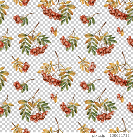 Rowan branch with ripe red berries and leaves. Autumn floral seamless pattern on white background. Watercolor hand drawn illustration for fall design, home textile, wrapping paper, wallpaper, fabric Rowan branch with ripe red berries and leaves. Autumn floral seamless pattern on white background. Watercolor hand drawn illustration for fall design, home textile, wrapping paper, wallpaper, fabric 130621732