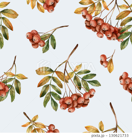 Rowanberry branch with leaves. Autumn floral seamless pattern on light blue background. Watercolor hand drawn illustration for fall design, home textile, wrapping paper, wallpaper, fabric Rowanberry branch with leaves. Autumn floral seamless pattern on light blue background. Watercolor hand drawn illustration for fall design, home textile, wrapping paper, wallpaper, fabric 130621733