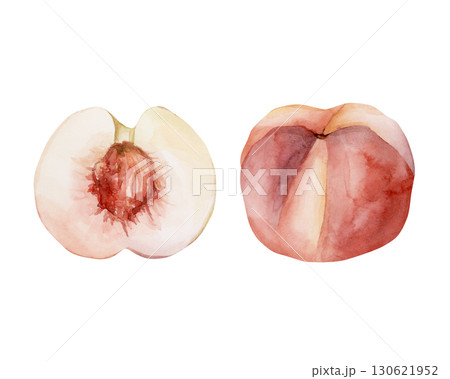 Peach summer juicy ripe fruit Watercolor hand drawn floral food illustration isolated on white background for home kitchen textile fresh fabric print card cosmetic package porcelain crockery label Peach summer juicy ripe fruit Watercolor hand drawn floral food illustration isolated on white background for home kitchen textile fresh fabric print card cosmetic package porcelain crockery label 130621952