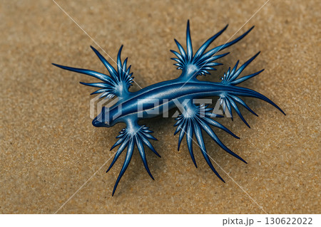 青銀の触手を広げる幻想的なアオミノウミウシ「AI生成画像」 130622022