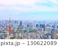 東京都港区、東京タワーと東京の町並みの風景 130622089