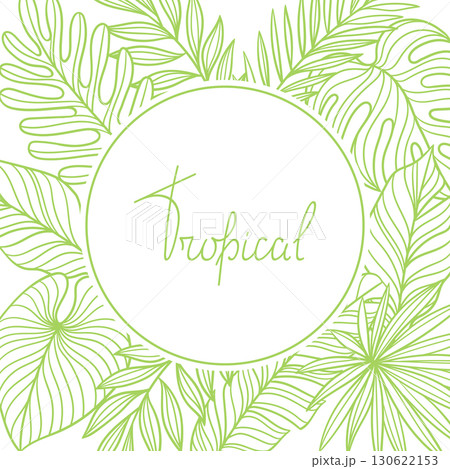 Background with linear palm leaves. Decorative image of tropical foliage and plants. 130622153