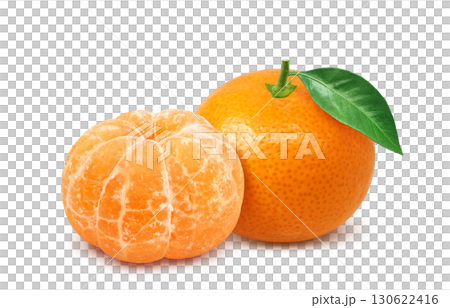 橘子插畫逼真的水果 130622416