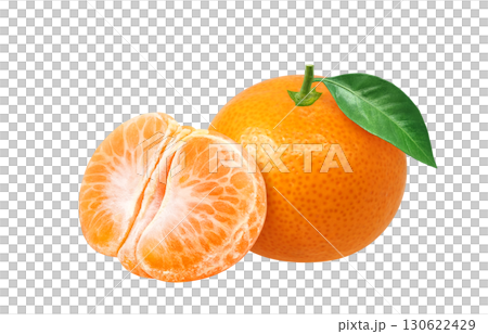 Mandarin orange illustration realistic fruit Mandarin orange illustration realistic fruit 130622429