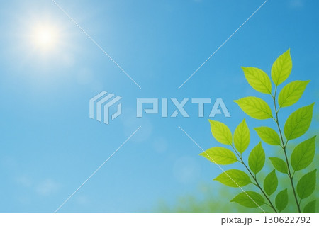 晴天 青空 若葉 イメージ 晴天 青空 若葉 イメージ 130622792