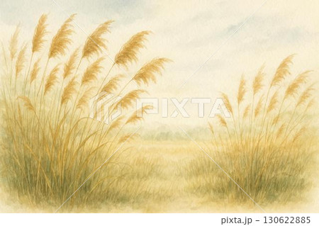 ヨシ原　アシ原　水彩画 130622885