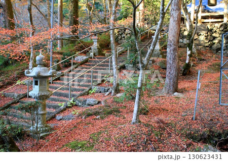 高蔵寺紅葉 130623431