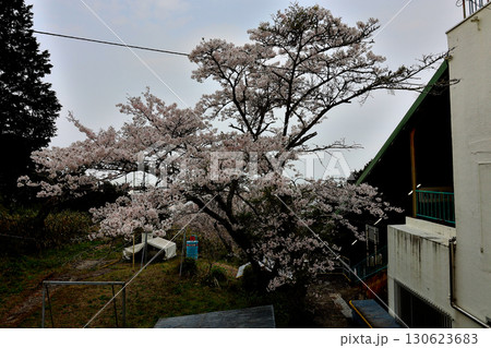 近鉄 西信貴鋼索線 ケーブルカー 高安山駅 近鉄 西信貴鋼索線 ケーブルカー 高安山駅 130623683