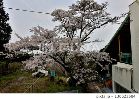 近鉄 西信貴鋼索線 ケーブルカー 高安山駅 近鉄 西信貴鋼索線 ケーブルカー 高安山駅 130623684