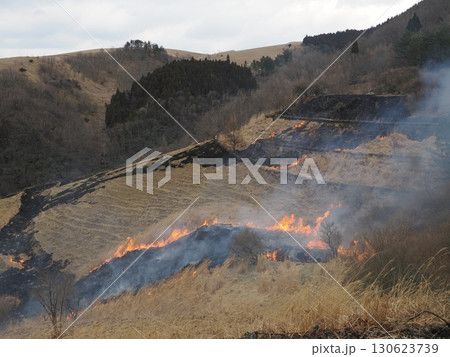 火の帯、空を裂く ― 樅木牧野の野焼き、斜面の記憶 火の帯、空を裂く ― 樅木牧野の野焼き、斜面の記憶 130623739