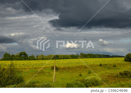 Rural landscape with stormy sky, Russia Rural landscape with stormy sky, Russia 130624696