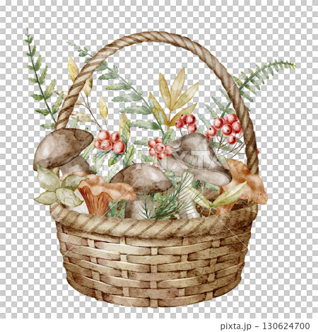 Watercolor Basket filled with mushrooms, berries and foliage. Illustration of autumn harvest composition with fungus and cranberry with red fruits for seasonal greeting cards or woodland invitations. Watercolor Basket filled with mushrooms, berries and foliage. Illustration of autumn harvest composition with fungus and cranberry with red fruits for seasonal greeting cards or woodland invitations. 130624700