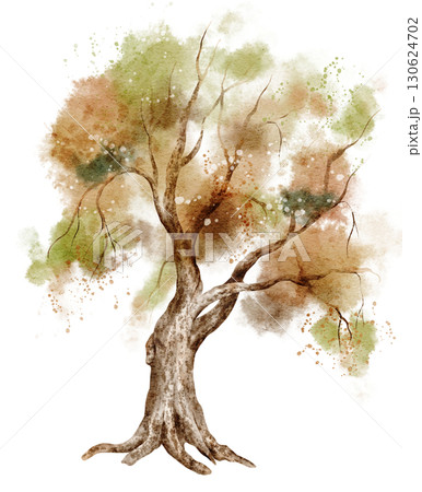 Watercolor tree with green and orange foliage. Illustration of woodland flora for botanical autumn or summer projects and forest compositions. Art on isolated background for landscapes and scenes. 130624702