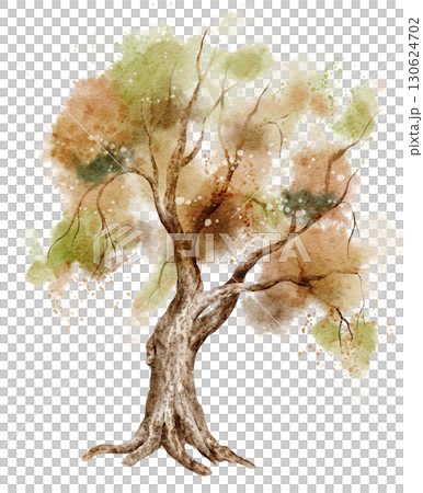 Watercolor tree with green and orange foliage. Illustration of woodland flora for botanical autumn or summer projects and forest compositions. Art on isolated background for landscapes and scenes. Watercolor tree with green and orange foliage. Illustration of woodland flora for botanical autumn or summer projects and forest compositions. Art on isolated background for landscapes and scenes. 130624702