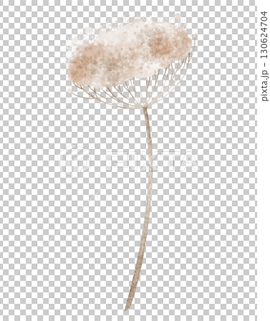 Botanical element with long stem and delicate dried flower head painted by watercolor. Illustration of forest plant on isolated background. Floral art for seasonal decorations, or nature designs. 130624704
