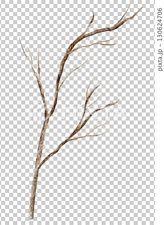 Dry leafless branch painted by watercolor. Illustration of autumn twig of tree for fall rustic seasonal design. Art of trunk on isolated background. Sketch for ecology projects and cliparts. Dry leafless branch painted by watercolor. Illustration of autumn twig of tree for fall rustic seasonal design. Art of trunk on isolated background. Sketch for ecology projects and cliparts. 130624706
