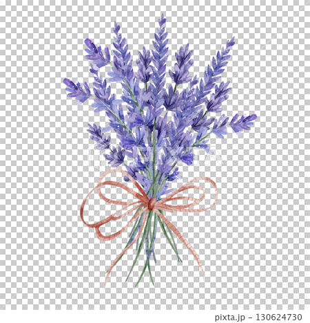 Bouquet of lavender tied with beige ribbon and bow. Rustic style. Watercolor illustration of purple flowers isolated on white background. For invitations, greeting cards, weddings. Fragrant herbs 130624730