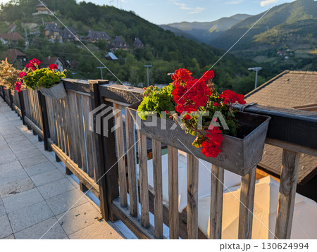 Flowerpots with red geraniums on black wooden fence in a traditional Serbian village. Rural decoration and charm. 130624994