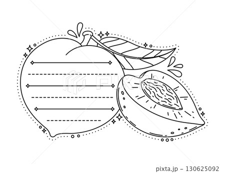 Natural peach or nectarine tropical fruit kids memo note frame. Kids diary page vector label, tropical fruit scrapbook sticker. Child schedule frame or memo note with whole and half nectarine fruit Natural peach or nectarine tropical fruit kids memo note frame. Kids diary page vector label, tropical fruit scrapbook sticker. Child schedule frame or memo note with whole and half nectarine fruit 130625092