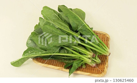新鮮なほうれん草|栄養豊富な緑黄色野菜と旬の食材 新鮮なほうれん草|栄養豊富な緑黄色野菜と旬の食材 130625460