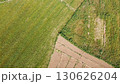 aerial view of the rice fields 130626204
