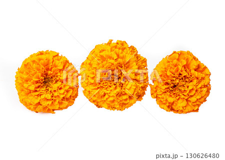 Orange Marigold Flowers isolated on white Orange Marigold Flowers isolated on white 130626480