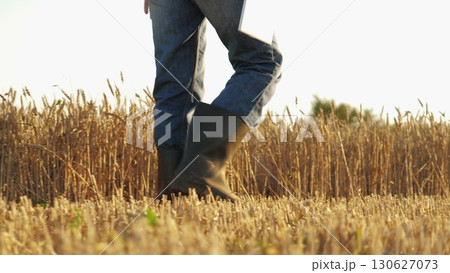 person walking through field wheat. person wearing boots jeans, farmer using tablet wheat field, Digital tools enhancing agriculture, Wheat farming with modern technology, Tablet assisted crop 130627073