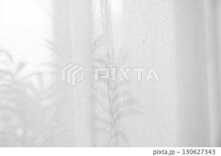 Sunlight on curtain, blurred shadow tulle background, sheer curtains, silk veil fabric 130627343