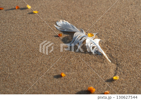 Amber stones on sea coast. Amber gems search on Baltic sea shore, fossilized tree resin crystals on sand Amber stones on sea coast. Amber gems search on Baltic sea shore, fossilized tree resin crystals on sand 130627544