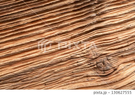 Old wood textured background. Dark driftwood surface, burnt wood brushing, macro brown floor 130627555