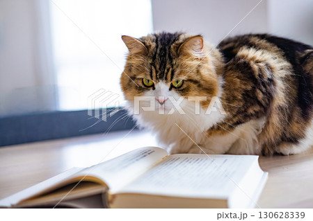 読書をする猫_6 130628339