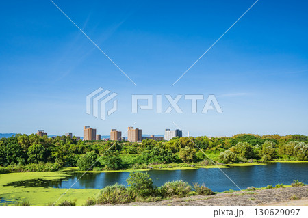 城北ワンド　大阪市 130629097