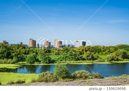 城北ワンド　大阪市 130629098