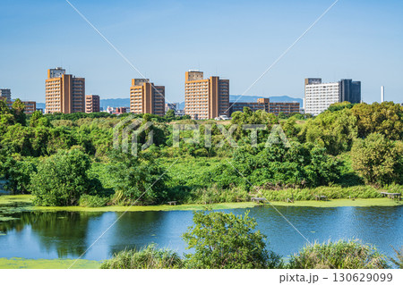 城北ワンド　大阪市 130629099