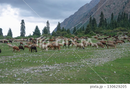 キルギス_ジュク川沿いのトレイル 130629205